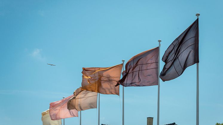 Hesselholdt&Mejlvang_Native, Exotic, Normal : State of Emergency_Fotograf Anders Beier