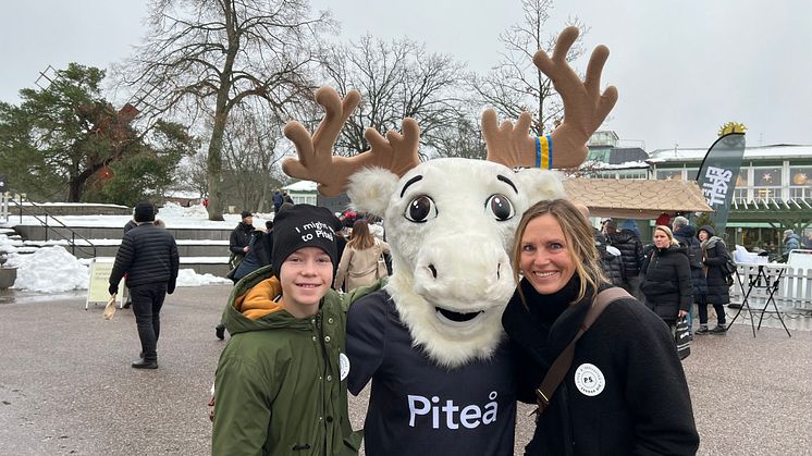 PS Saknar dig_Reijne
