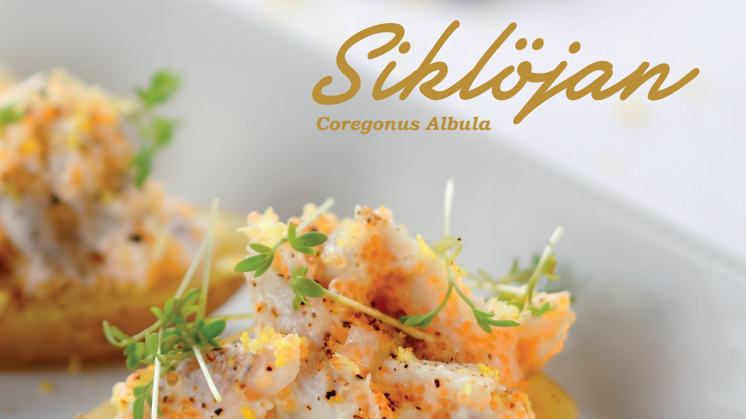 Information och recept Siklöja