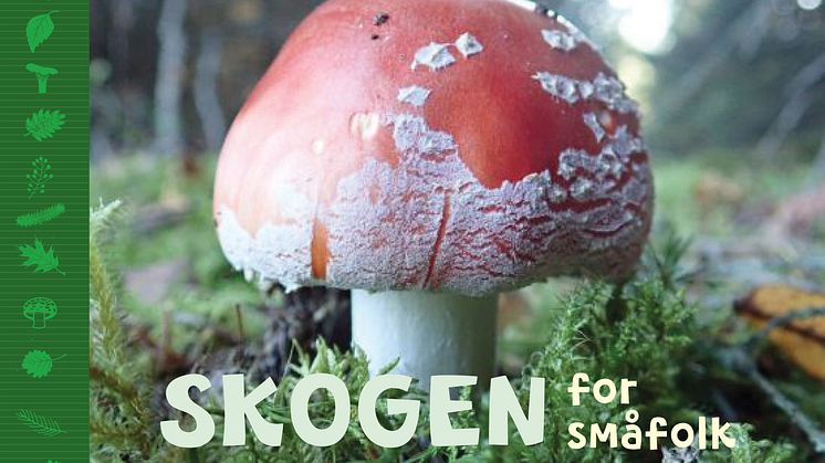 "Skogen for småfolk" er Marit Røgeberg Ertzeid fjerde "naturhåndbok" for de yngste friluftsentusiastene.