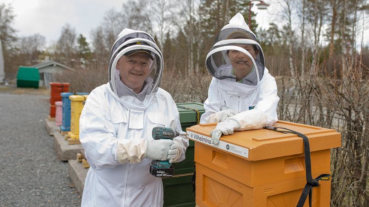 Rektor Hans Adolfsson och forskaren Natuschka Lee monterar namnskylten på en av bikuporna vid Umeå universitet. Foto: Mattias Pettersson