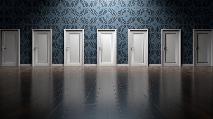 doors-g0feabb6be_1920.jpg