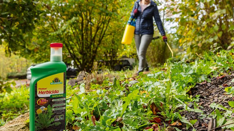 Solución rápida y efectiva contra las malas hierbas y el musgo: Finalsan® Herbicida NATURAL