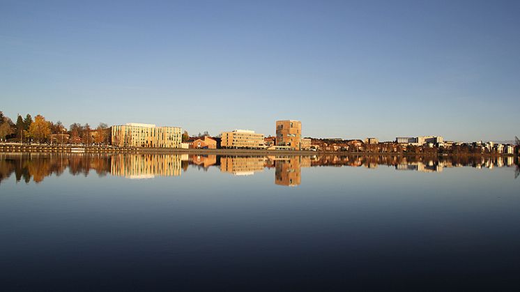​FN och EU-kommissionen till miljökonferens i Umeå