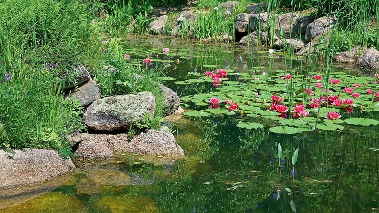 Die Wasserpflanzen- und Teicherde von Floragard ist extra für das Bepflanzen von Teichkörben abgestimmt.
