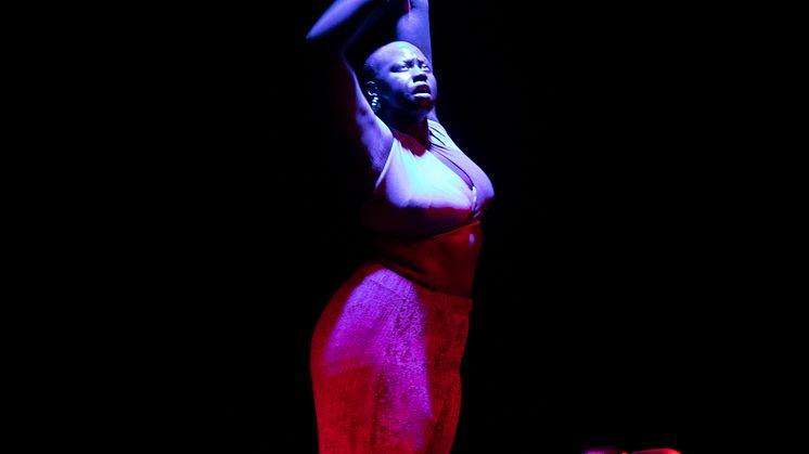 Company Nicolas Huchard - The barefoot diva