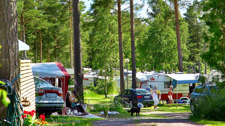 Rekordbeläggning på Sveriges campingplatser