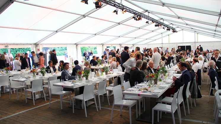 Impressionen von der 2. Bärenherz Sommernacht: Ein Rückblick in Bildern
