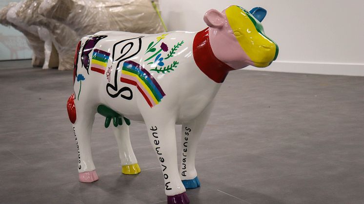 Cows about Cambridge