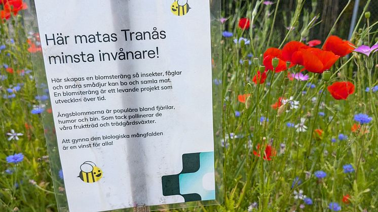 blomsterang.jpg