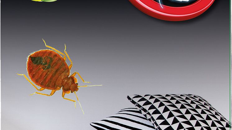 22480_BugCatch Sticky B_F.jpg