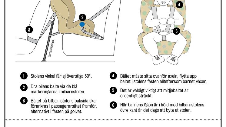 Placeringsanvisning_färg