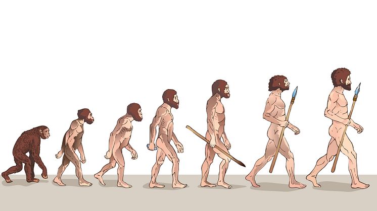Cold climates contributed to the extinction of the Neanderthals
