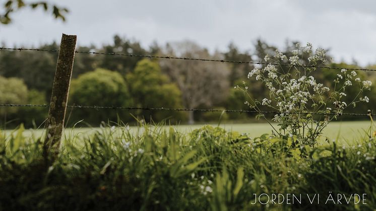 Elmia Garden Trends 2022 | Jorden vi ärvde 5