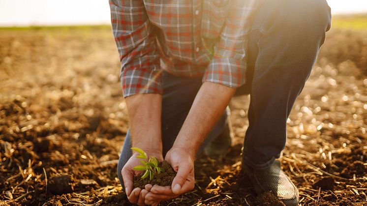 Schafwollpellets und Carbon Farming