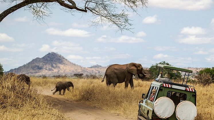 Tanzania Tours lancerer ny hjemmeside til det norske marked