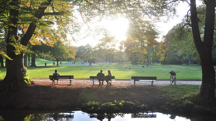 Northumbria Professors named Academy of Social Sciences Fellows