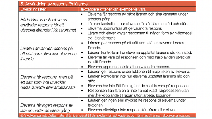 Dimension 5 av 10 i klartext. Vad GÖR en skicklig lärare? 