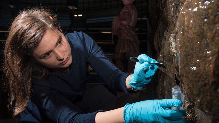 Geobiologen Therese Sallstedt provtar de levande mattor som täcker väggarna i Kungsträdgårdens tunnelbanestation. Foto: Johannes Lundberg, Naturhistoriska riksmuseet