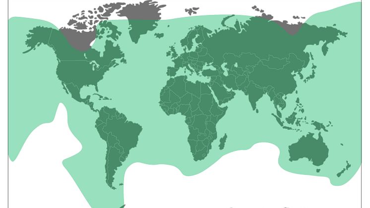 Marlink Ku-band coverage map showing extended coverage North of Russia.