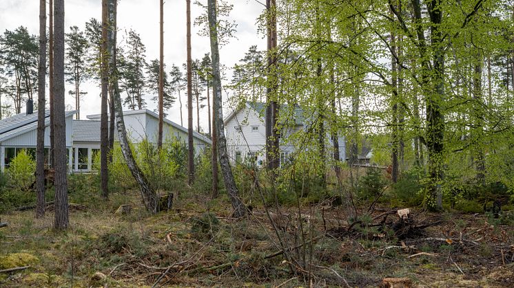 Arkeologi Ljungaviken 2020 2 RGB