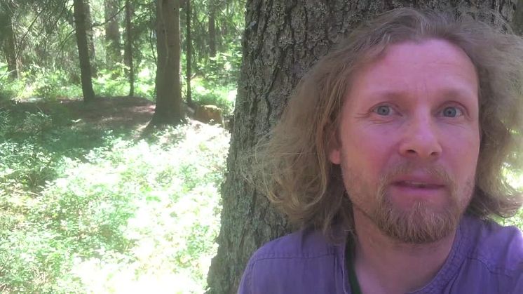 Ecopsychology workshop at No Mind Festival, Henrik Hallgren & Annette Ericsdotter