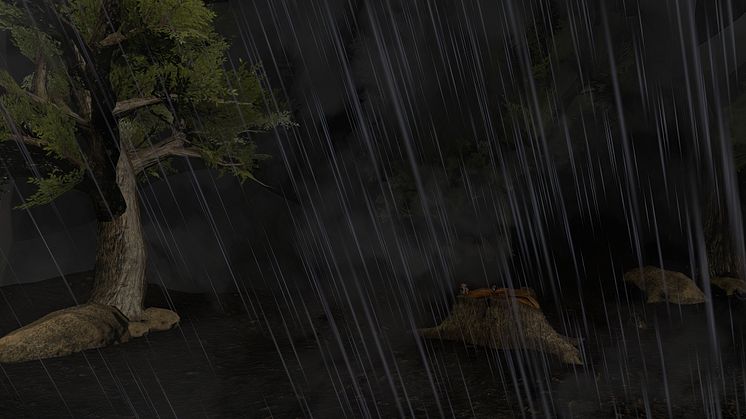 Storm