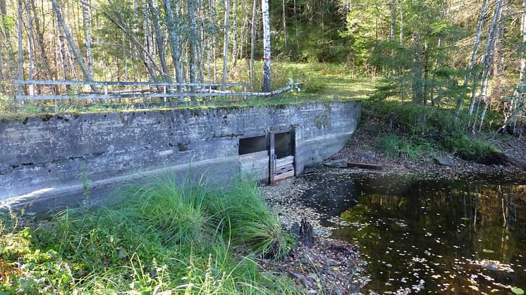 Gretjärnsdammen