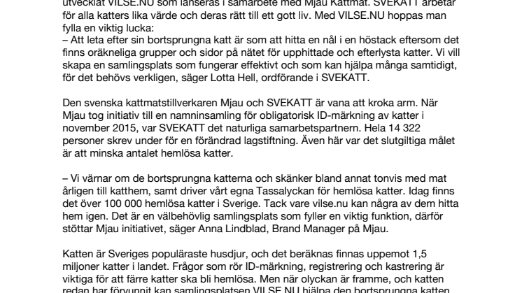 Bortsprungna katter hittar hem tack vare nytt initiativ