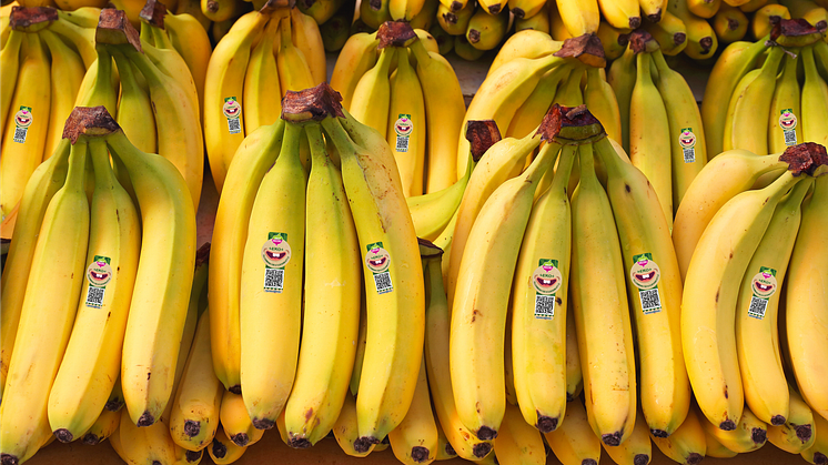 Greenfood utmanar i den klassiska fruktdisken - lanserar varumärket Daily Greens i bananhyllan