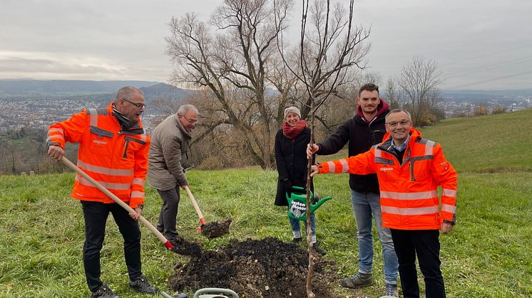 Ein Obstbaum, dem viele weitere folgen werden. Der Modulbauspezialist Algeco betreut künftig eine Streuobstwiese in Reutlingen. 