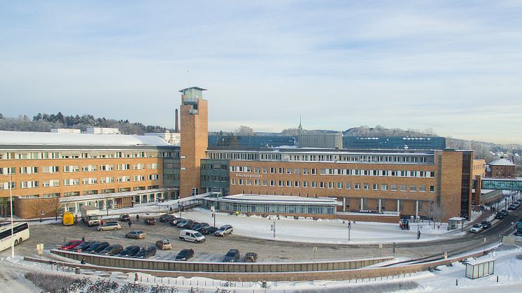 Kan bli rekordhøy ja-andel til organdonasjon i 2019