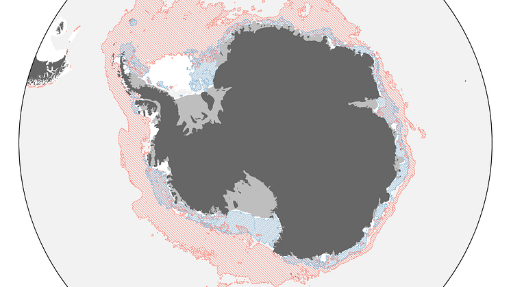krill comparison map hatched