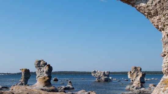 Gotland raukar