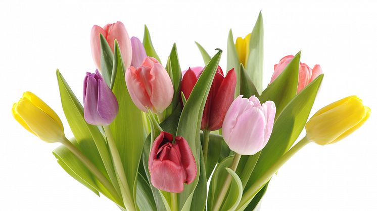 Välkomna till "Lilla vårbasaren" hos Blomsterfonden den 6 april
