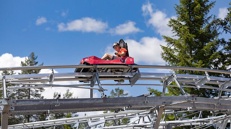 SkiStar Mountain Coaster Sälen.jpg
