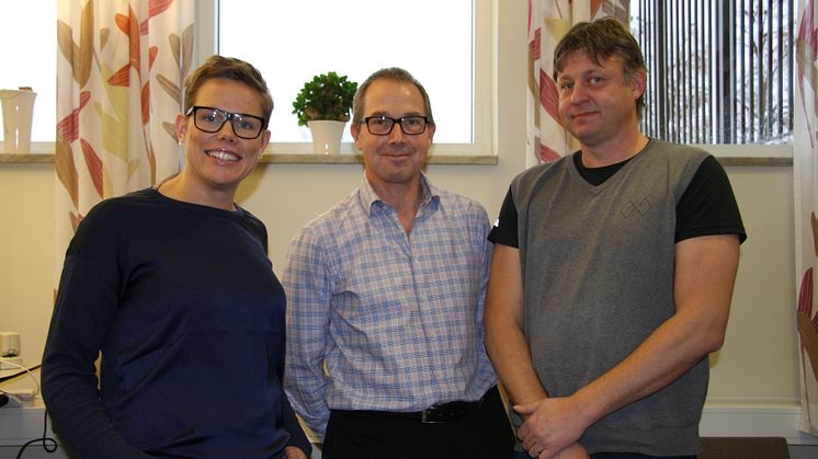 Elsäkerhetsverket närvarar på SSG Elansvarsträff 2015