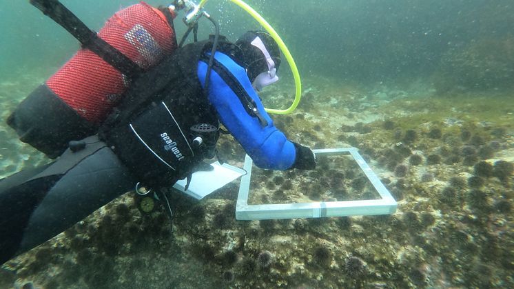 Scientists Credit David Gonzalez