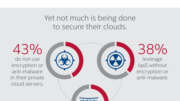 Infographic: Cloud Security