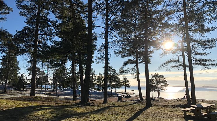 Uppsägning av arrendatorer på Skutberget återkallas