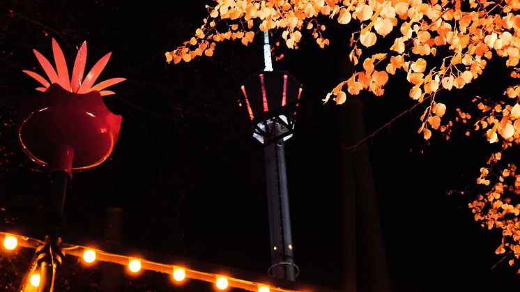 Upplev en ny sida av Liseberg: Halloween