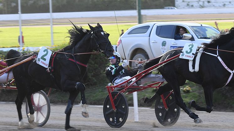 Fransman och svensk nya hästar i Elitloppet Benders
