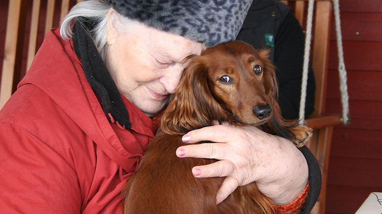 Studiefrämjandets hundverksamhet