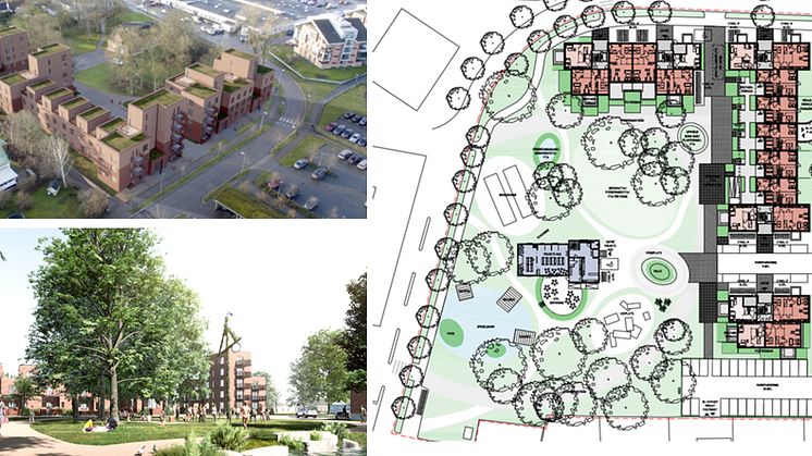 Stor omsorg lagts på mötet mellan de tillkommande bostäderna och den publika parken. Illustrationer: Wingårdh Arkitektkontor