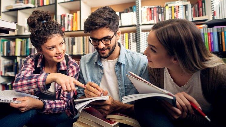 Examensarbete om bostadsrätt