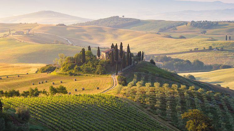 TUI x WineTourism 1