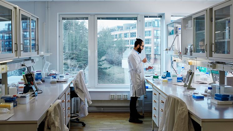 Över 600 personer diagnosticeras med multipelt myelom i Sverige varje år. Foto: Johnér Bildbyrå