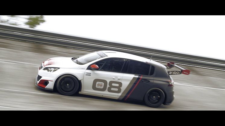 308 Racing Cup