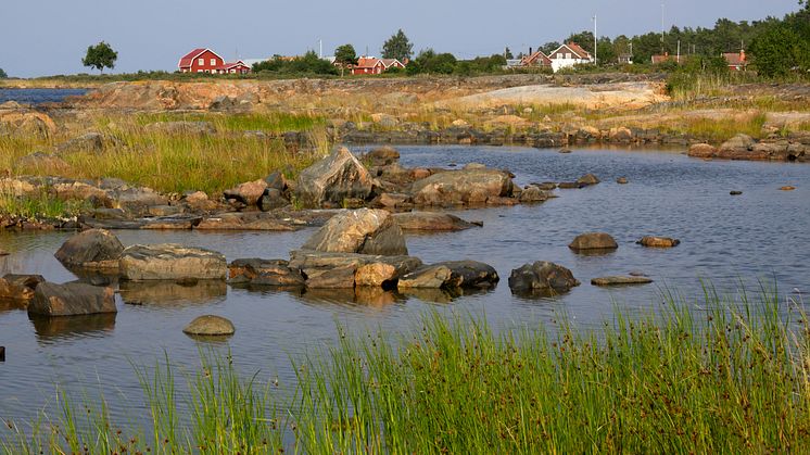 Hav ger 3,9 miljoner för att skydda havsvikar i Stockholms skärgård