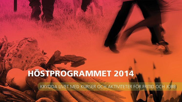 Studiefrämjandet i Stockholms höstkatalog 2014